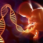 Ученые научились менять гены человеческого эмбриона