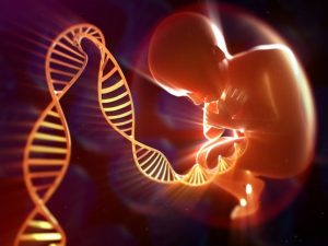 Ученые научились менять гены человеческого эмбриона
